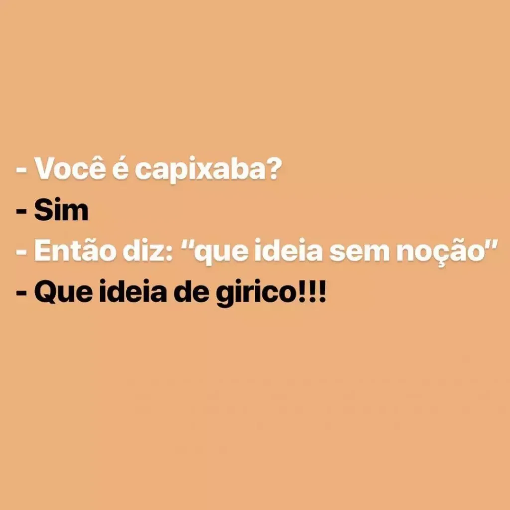 Dicionário Básico Capixabês