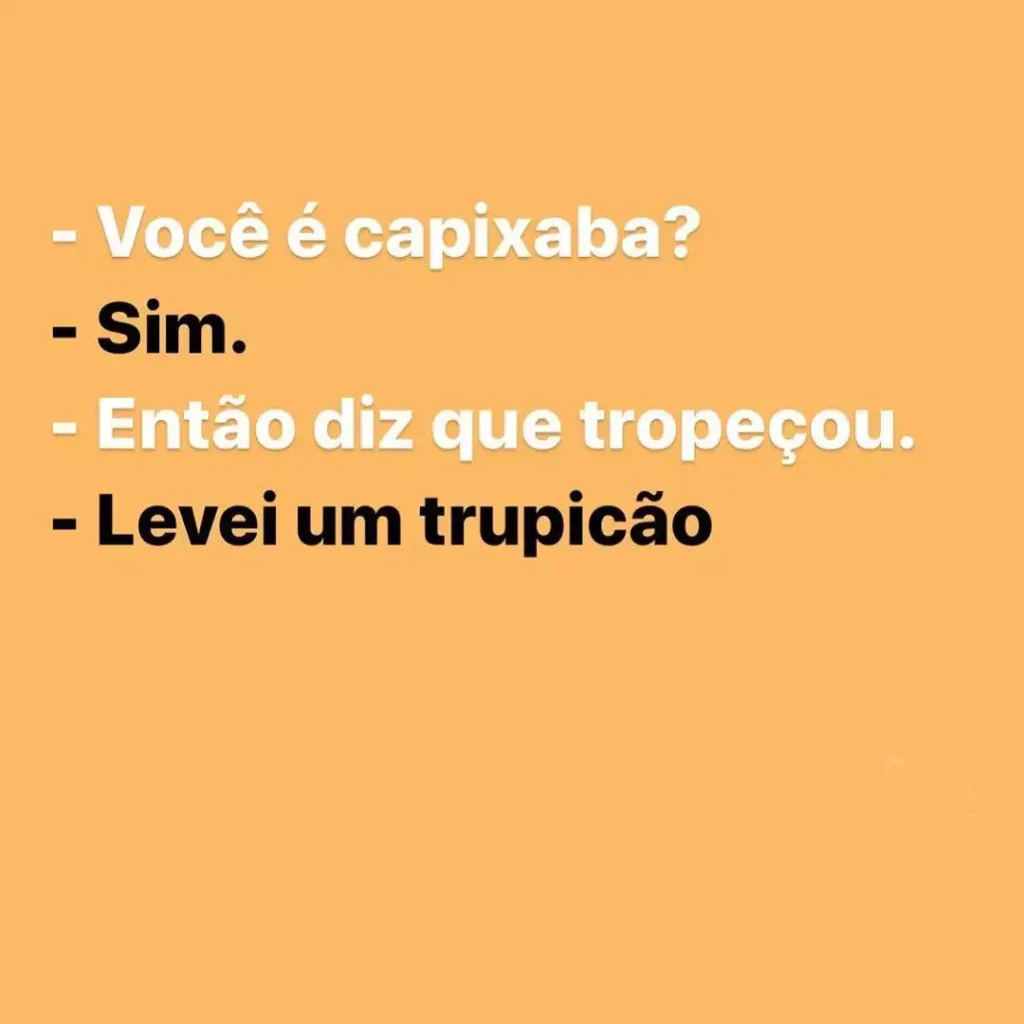 Dicionário Básico Capixabês