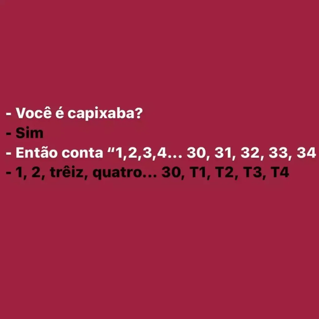 Dicionário Básico Capixabês