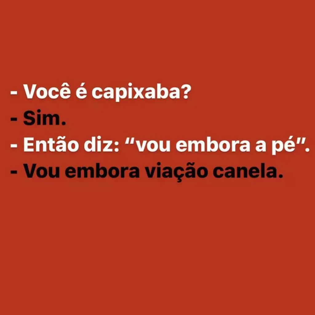 Dicionário Básico Capixabês