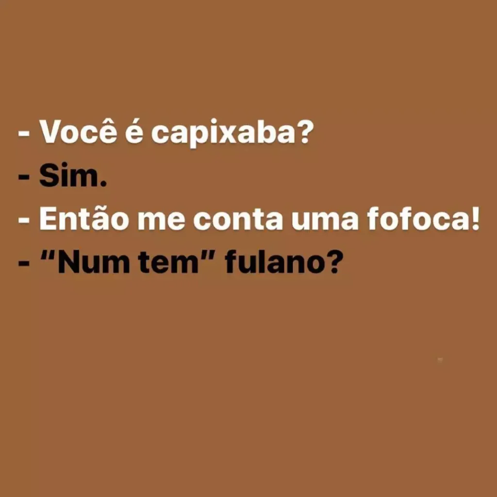 Dicionário Básico Capixabês