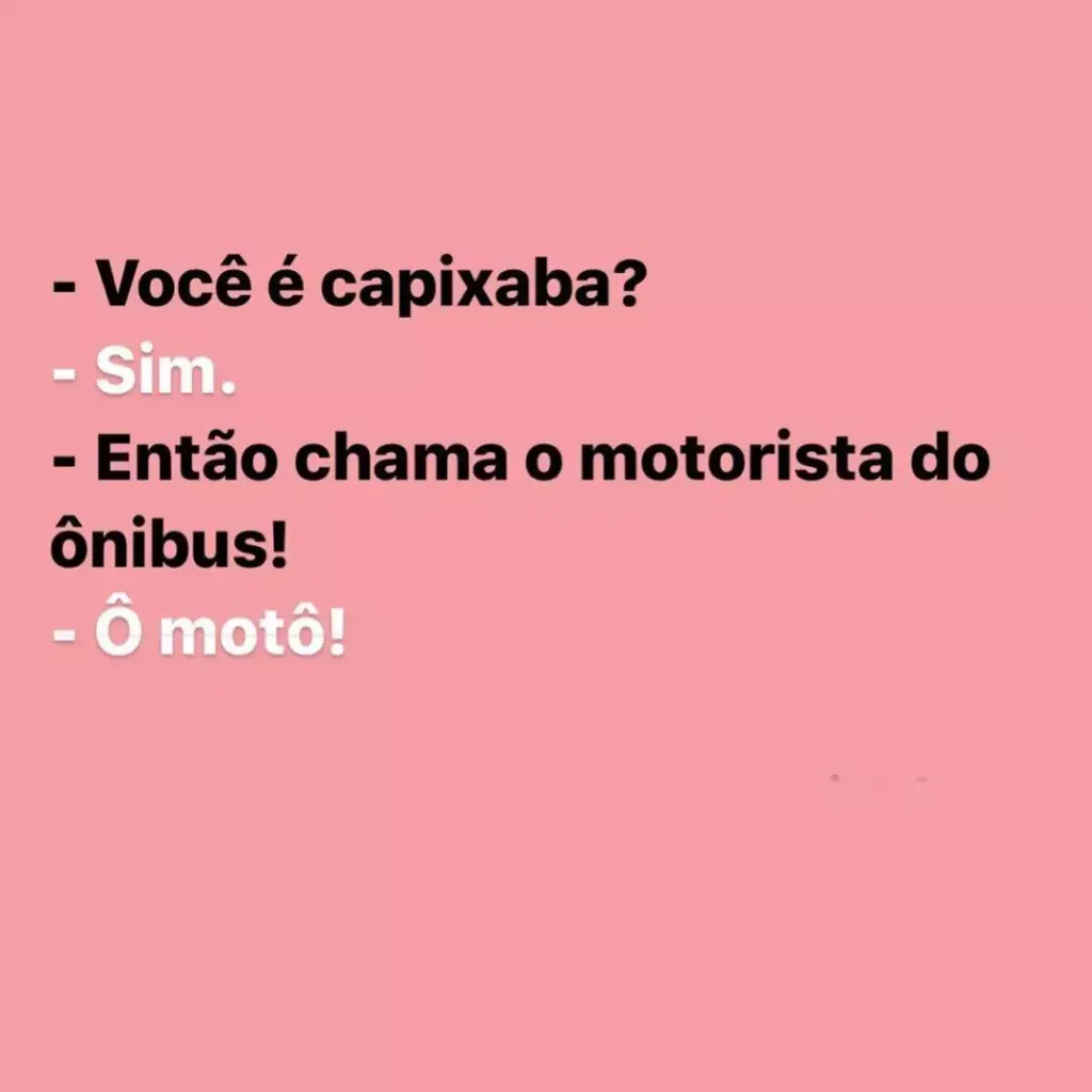 Dicionário Básico Capixabês