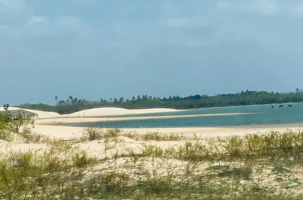 Lagoa Da Torta, Tatajuba Camocim