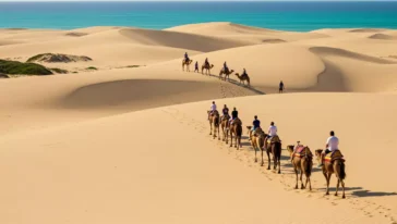 Camelos em Natal
