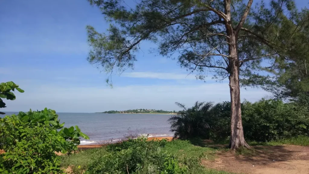 Praia Formosa Aracruz Espirito Santo