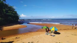 Praia Formosa Aracruz Espirito Santo