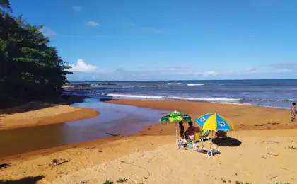 Praia Formosa em Aracruz: Um paraíso natural no Espírito Santo 10 Praia Formosa Aracruz Espirito Santo