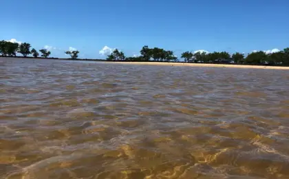 Praia da Baleia, Aracruz
