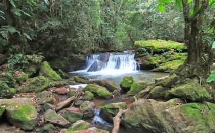Cachoeira Iracema, em Carolina, interior de Alfredo Chaves. 8 Hilquias Darcley 8 Copy