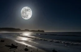 Rara Beleza da Lua Azul