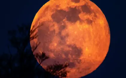 Superlua e eclipse total em tempo real 8 super lua e eclisetotal
