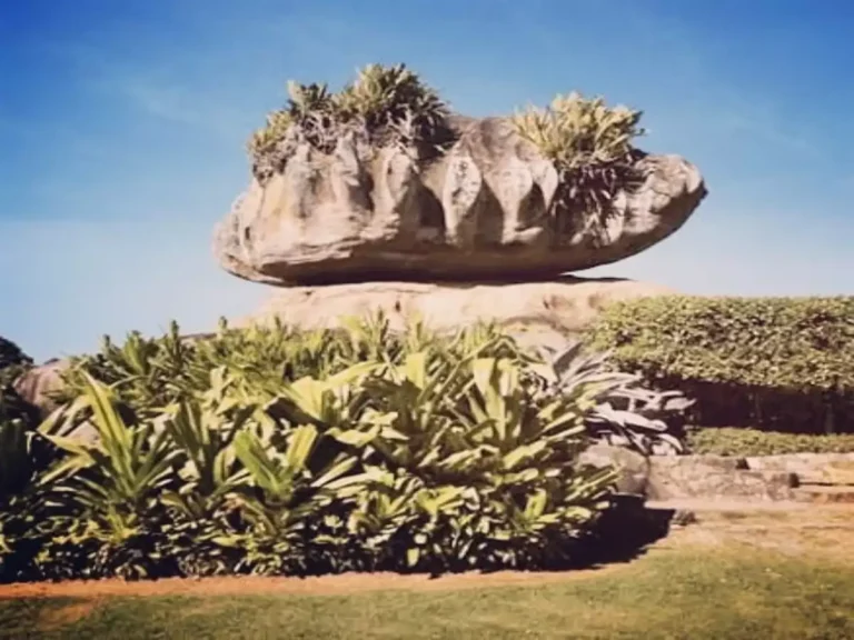 5 Motivos para Visitar o Parque Pedra da Cebola em Vitória, ES