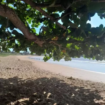 Pequenos Paraísos - Praia Enseada das Garças em Fundão, ES