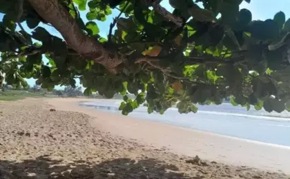 Pequenos Paraísos - Praia Enseada das Garças em Fundão, ES 10 Pequenos Paraísos - Praia Enseada das Garças em Fundão, ES