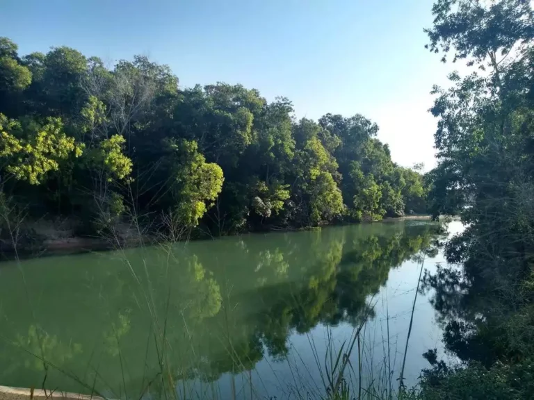 Descubra a Lagoa Azul em Aracruz, ES: Um Refúgio Natural no Espírito Santo