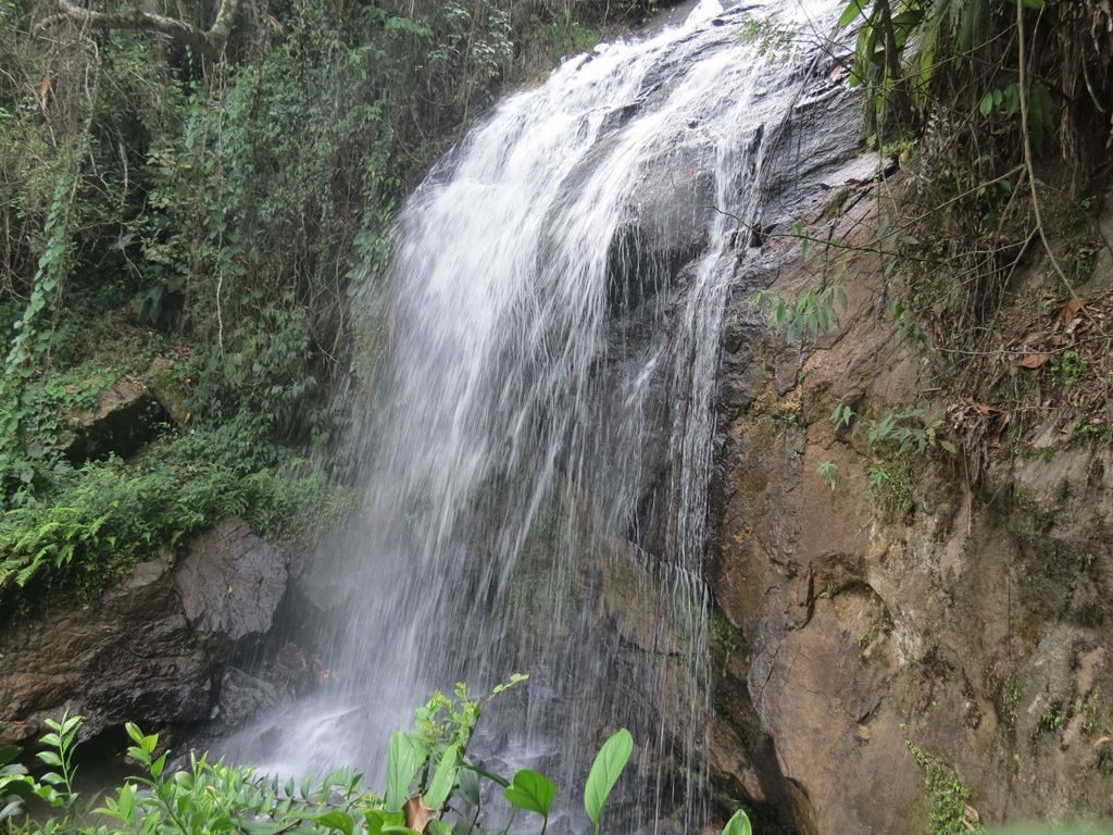 Cachoeira do Quintino Alfrede Chaves 6