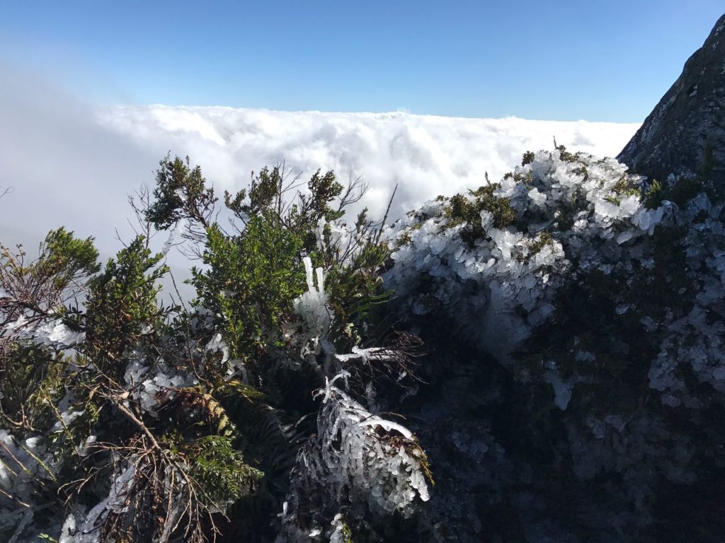 Pico da Bandeira com Gelo 12
