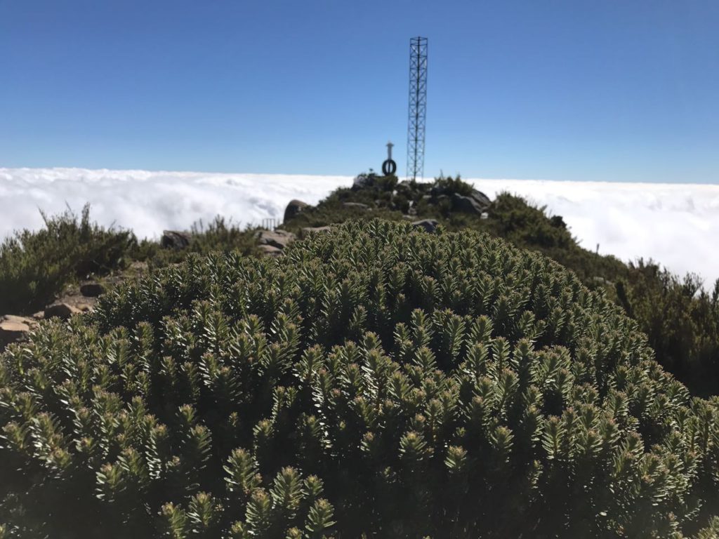Pico da Bandeira com Gelo 21