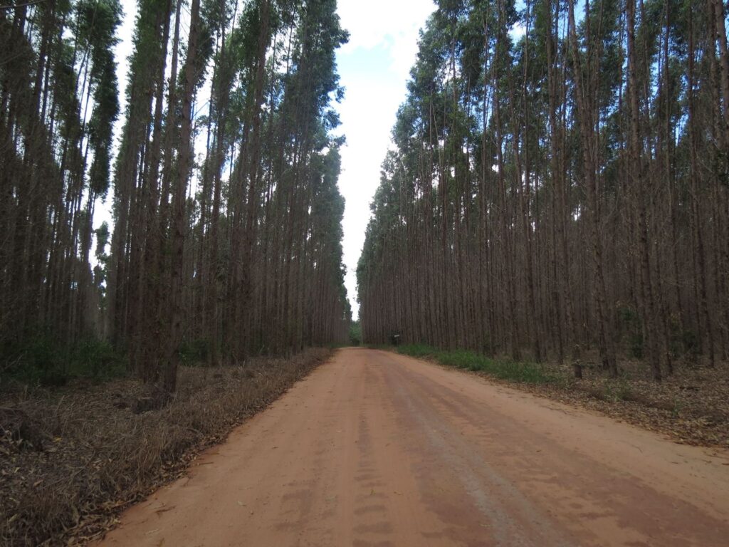 Riacho Doce em Conceição da Barra, ES (26)