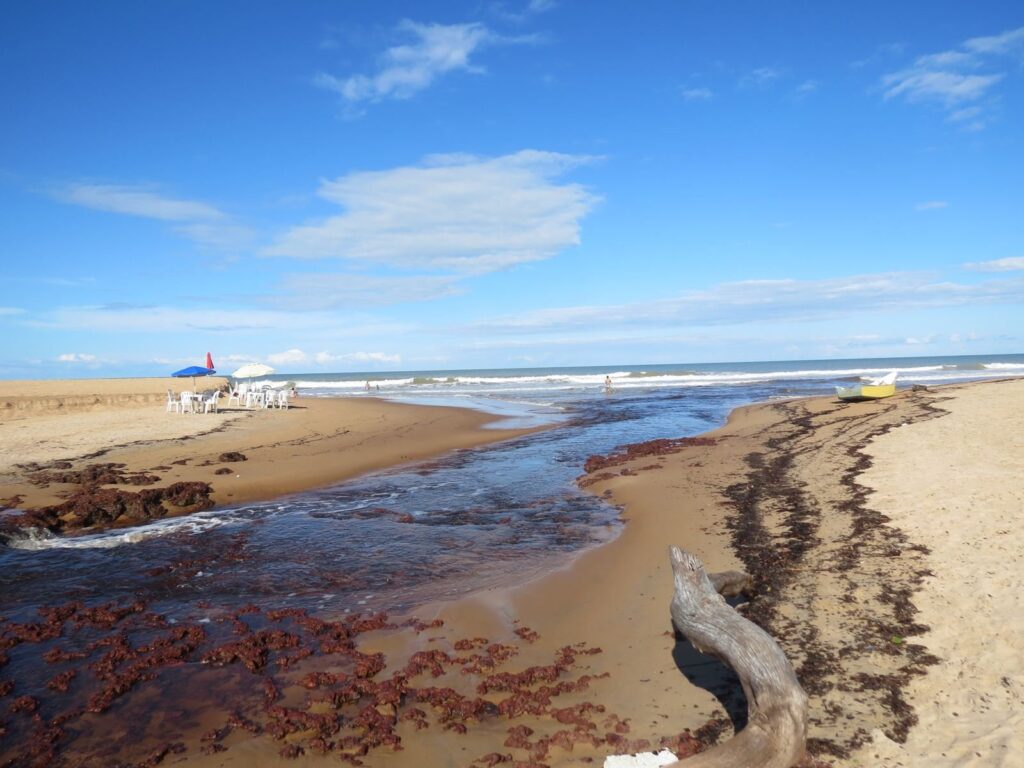 Riacho Doce em Conceição da Barra, ES (26)