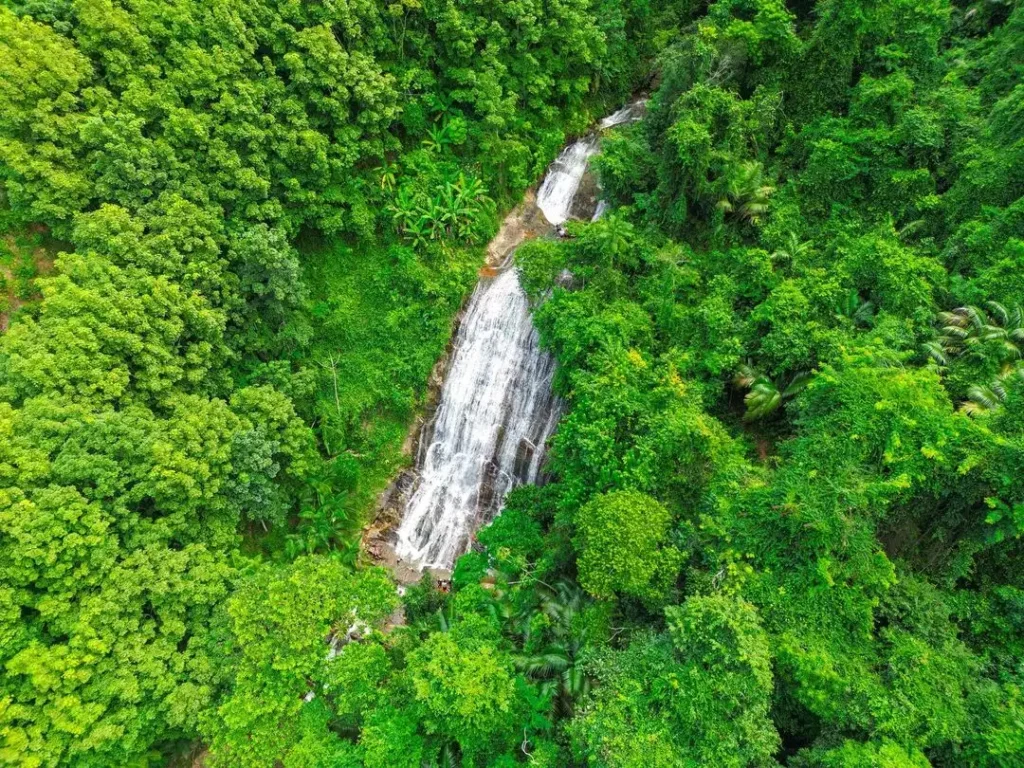 Cachoeira piripitinga Copy