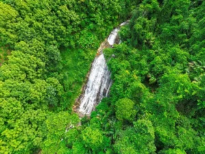 Cachoeira piripitinga