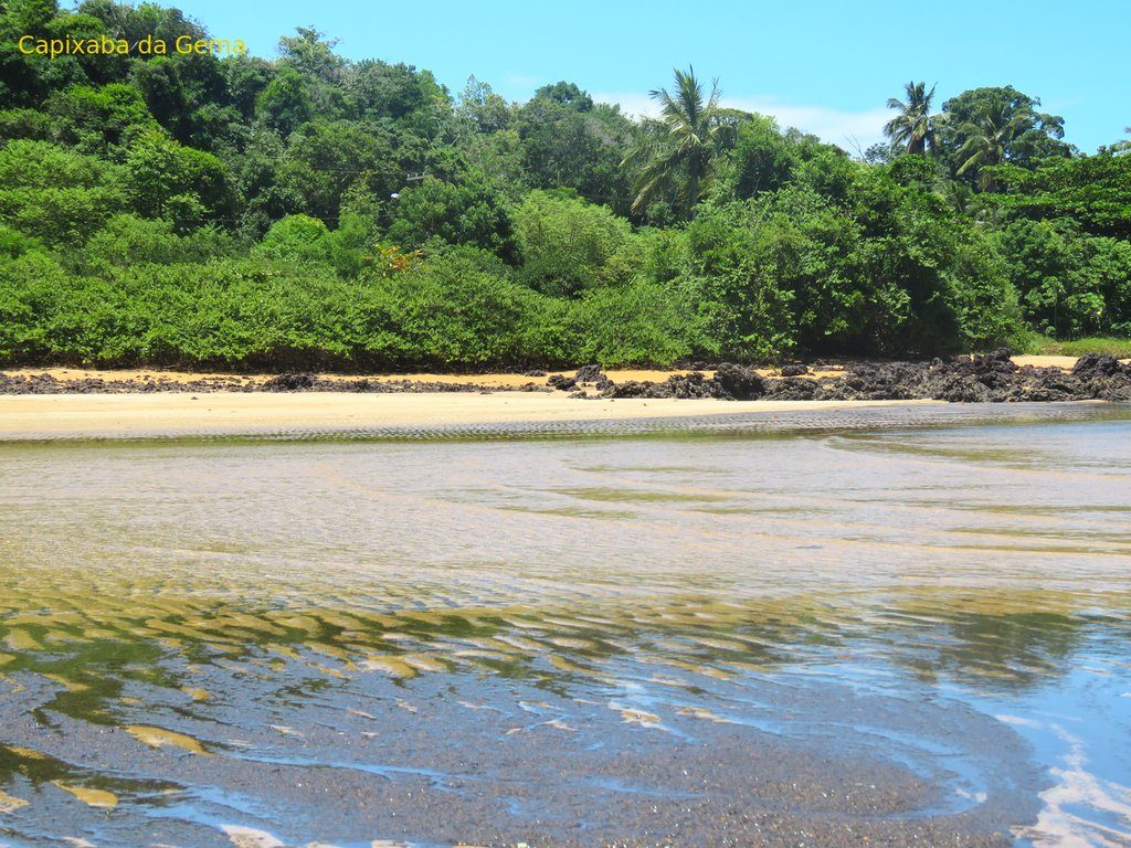 Praia de coqueiral de aracruzIMG 1009