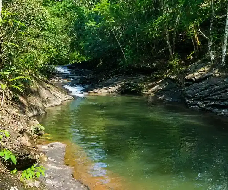 Cachoeira de Pernambuco: acesso, trilha e cuidados