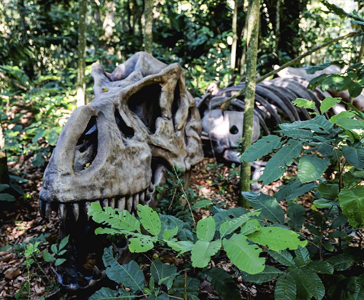 Brasil tem o maior parque temático de dinossauros do mundo