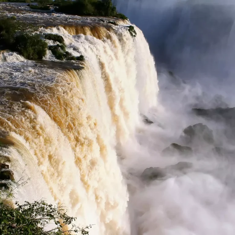 O Brasil é um país de uma riqueza natural impressionante.