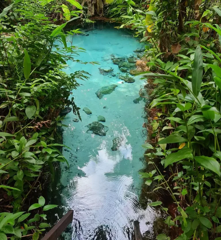 Parque Estadual do Jalapão: Curiosidades e Dicas sobre o Local