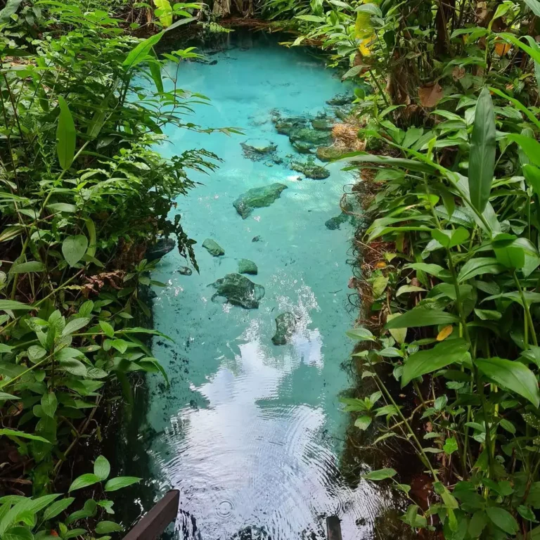 Parque Estadual do Jalapão: Curiosidades e Dicas sobre o Local