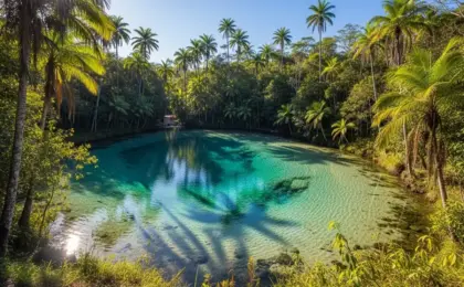 Parque Estadual do Jalapão: Curiosidades e Dicas sobre o Local 9 Parque Estadual do Jalapão