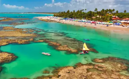 As 10 Praias Mais Lindas do Nordeste para Viajar em 2026 14 Porto de Galinhas