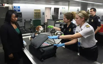 Primeira viagem internacional: dicas para planejar e aproveitar ao máximo 10 Dicas Para Viajar Com Pets e Curtir a Viagem
