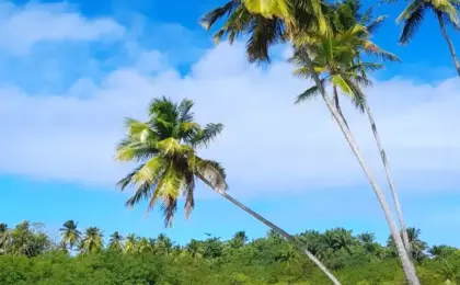 Boipeba