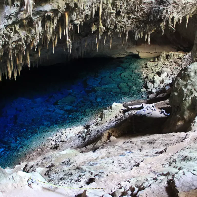 Bonito – MS: Aventure-se no Paraíso das Águas Cristalinas!