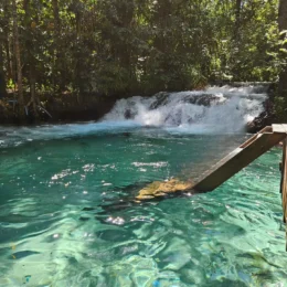 Cachoeira do Formiga