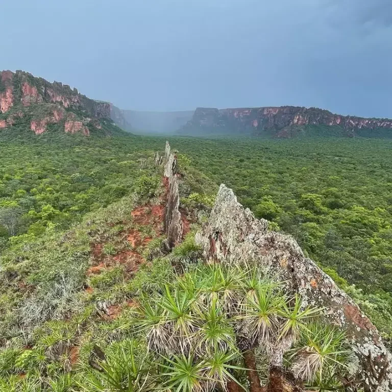 Chapada dos Guimarães