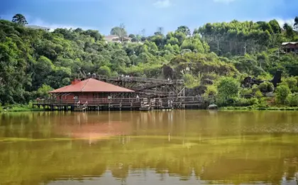 Curitiba