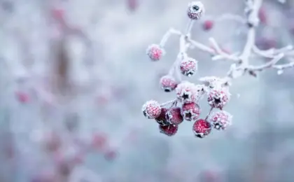 Inverno no Brasil: AS 10 cidades mais frias 11 Inverno
