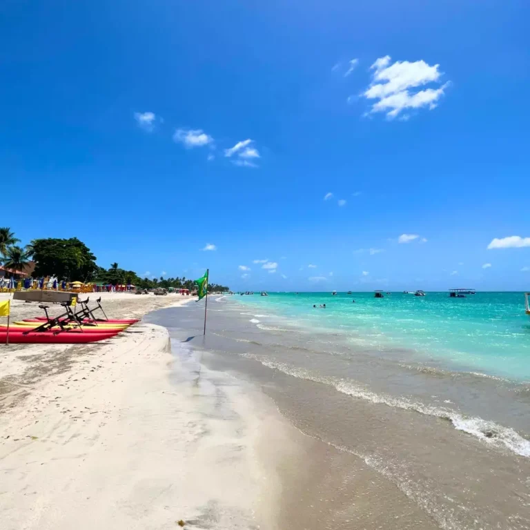 Nordeste Mágico: Descubra as Maravilhas de Porto de Galinhas, Carneiros e Maragogi