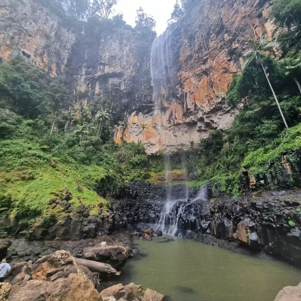 Springbrook National Park,