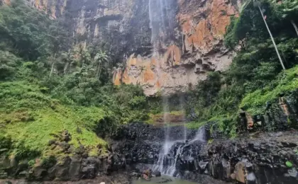 Springbrook National Park,