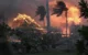 Havaí O que saber sobre incêndios em Maui e Big Island