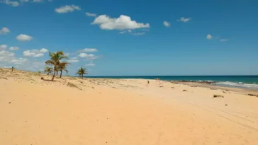 JERICOACOARA Melhor época para viajar - Author Jorge Brazilian