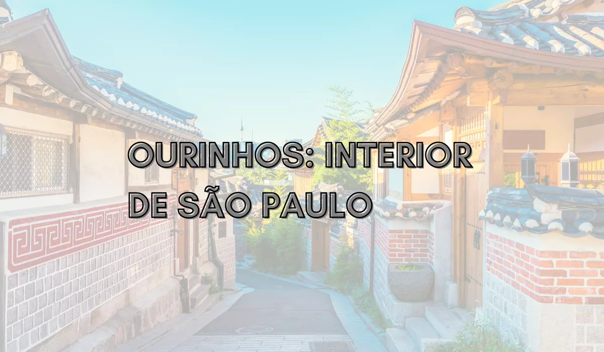 INTERIOR DE SÃO PAULO
