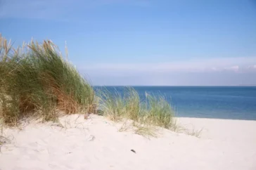 Praia Nordestina dos Sonhos