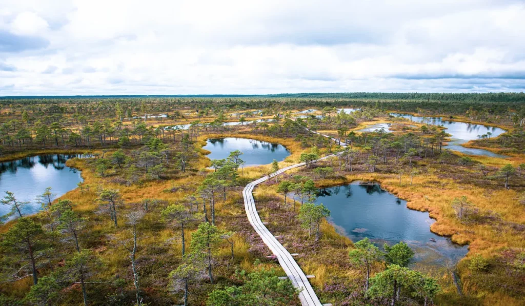 paisagem de lagoas no parque nacional kemeri sob um ceu nublado na letonia
