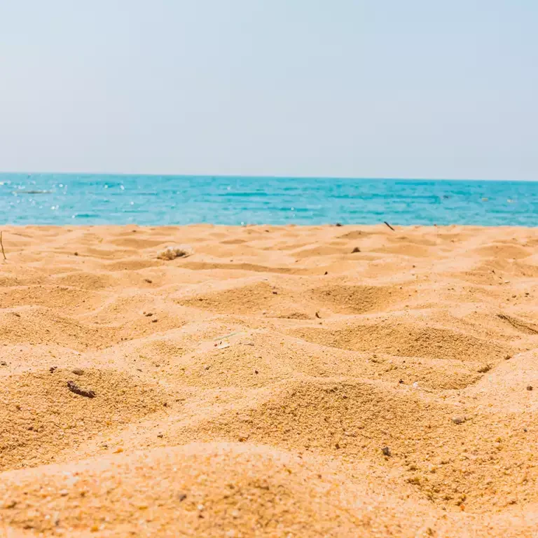 Image by lifeforstock on FreepikImage by lifeforstock on Freepik